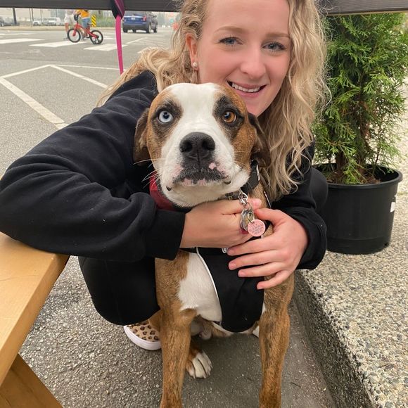 Meet your Posher, Brie - Picture 1 of 1